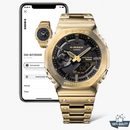 C--1A2110205 Golden Black Watch/.